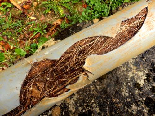 Drain français à Saint-Jérôme